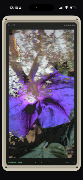 video thing screenshot 4